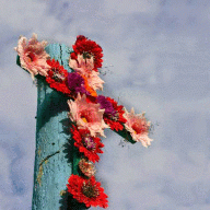 blumenkreuz-