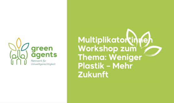 Multiplikator*innen-Workshop von Green Agents
