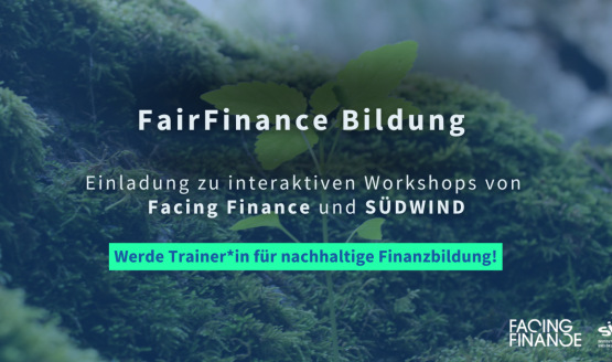Train-the-Trainer-Workshopreihe zu nachhaltiger Finanzbildung