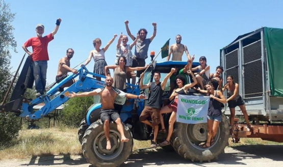 Landwirtschaft in Bewegung – Italien bis Indien (Podcast)